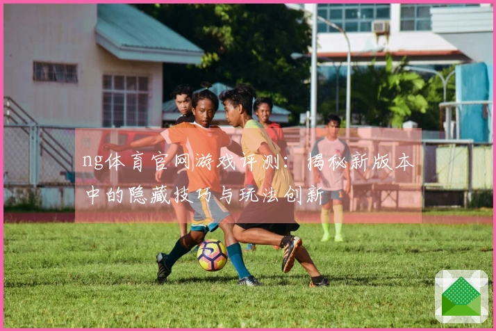 ng体育官网游戏评测:揭秘新版本中的隐藏技巧与玩法创新